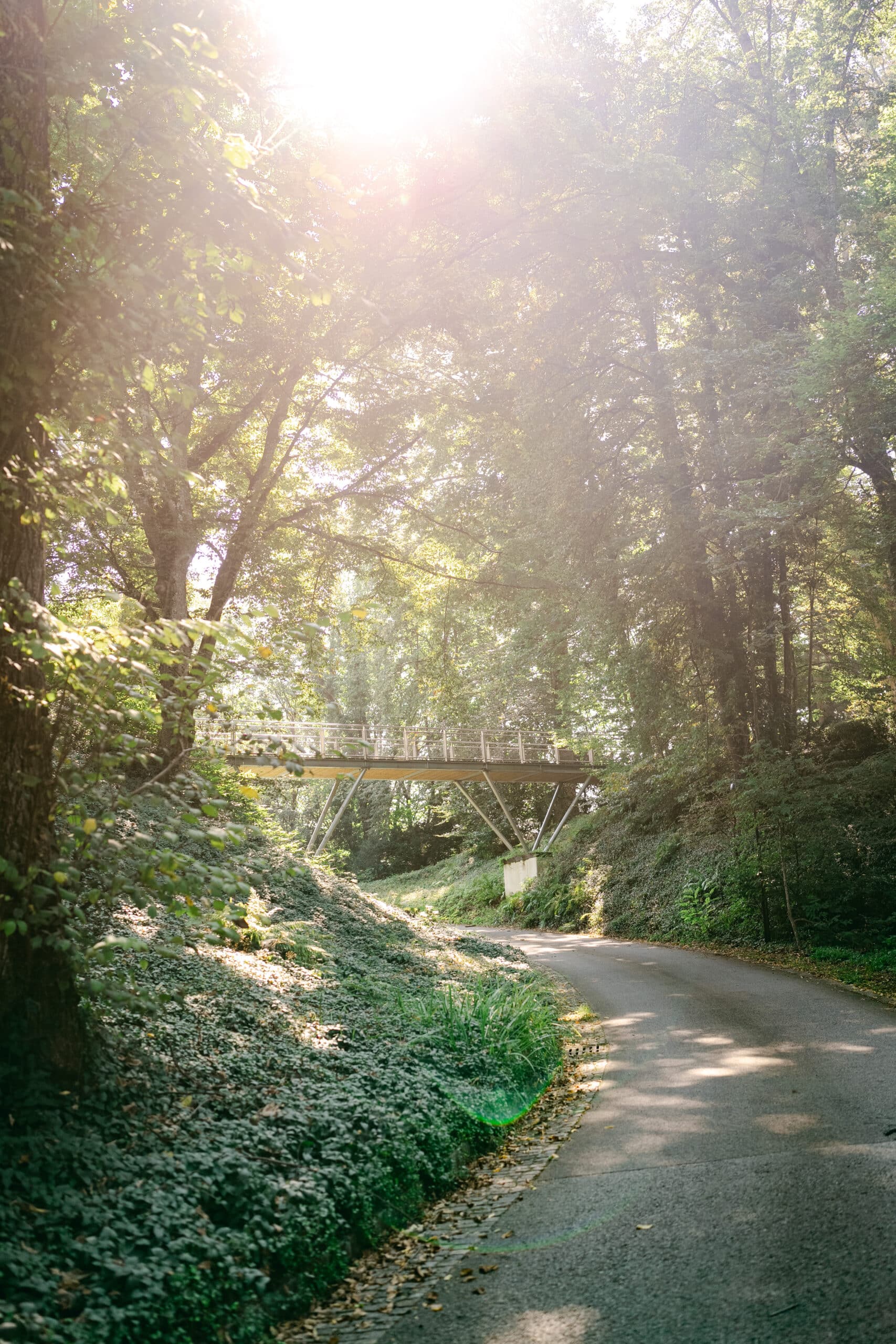 waldweg und brücke beim schloss vasoldsberg in der steiermark – natürliche kulisse für schlosshochzeit in österreich, fotografiert von diehochzeitsfotografen