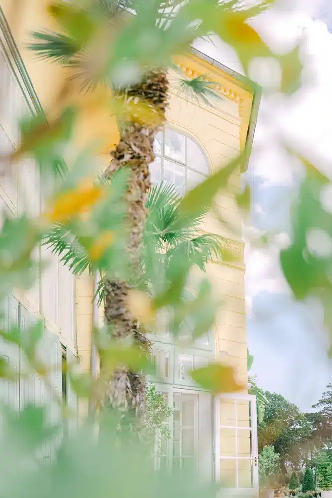 Gelbe Fassade und Palme der Orangerie im Schlosspark Eisenstadt, fotografiert durch grüne Blätter im Vordergrund