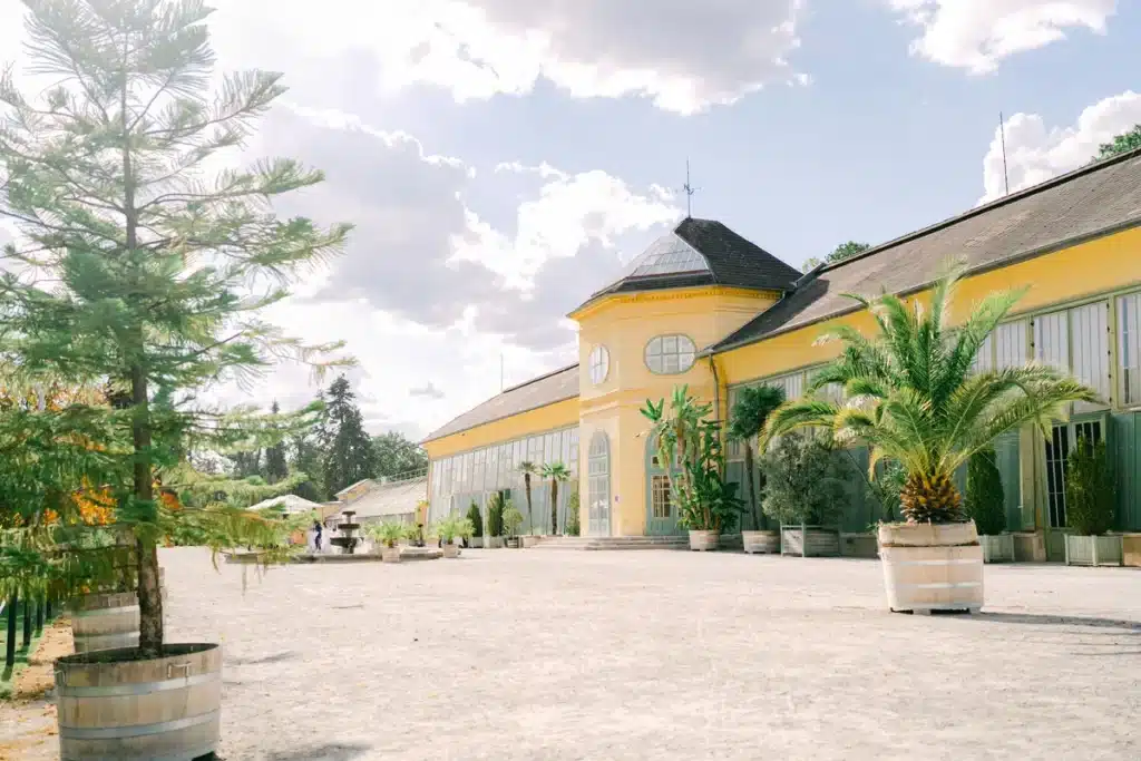 Gelbe Orangerie im Schlosspark Eisenstadt mit Palmen in Kübeln auf dem Kiesplatz unter blauem Himmel, Hochzeitslocation im Burgenland